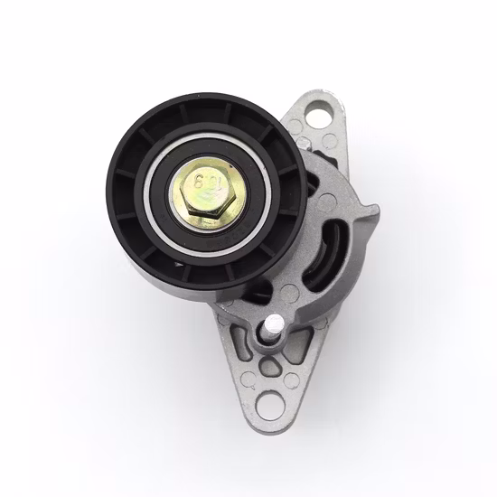 Fe-T16031 Einstellbarer Riemenspanner für Automotoren OEM 2z0903133